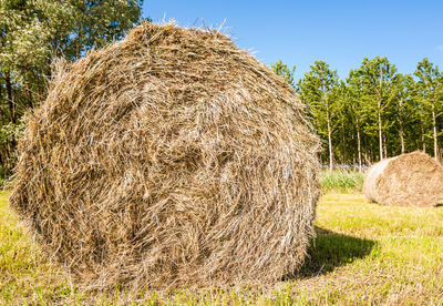 Hay bales on field