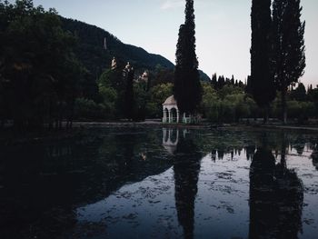 Reflection of trees in calm lake