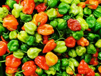 Full frame shot of chopped vegetables