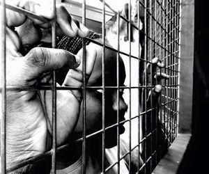 Close-up of hand holding monkey in cage
