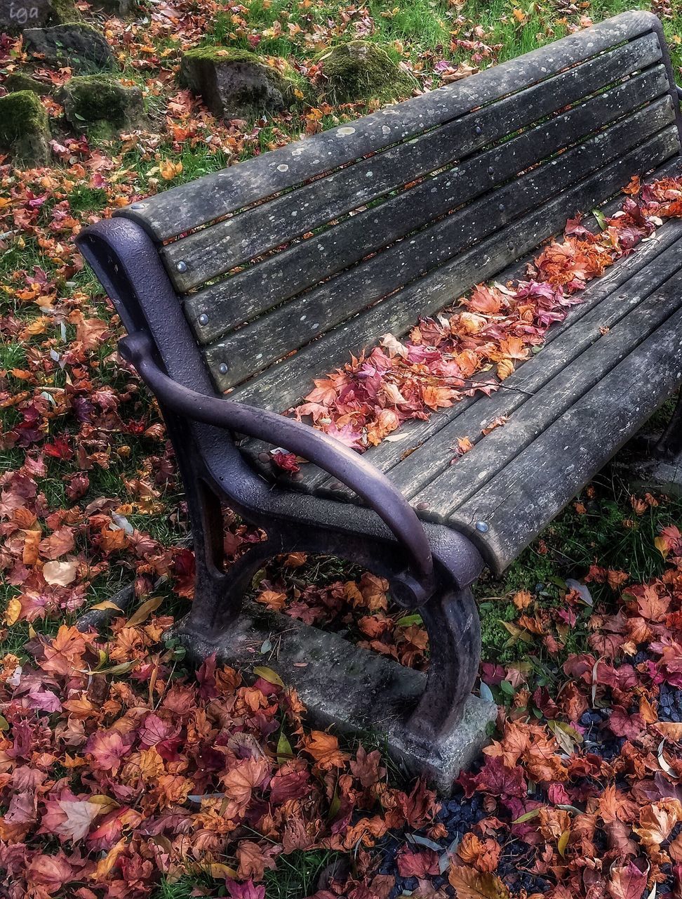 autumn, wood - material, leaf, change, dry, fallen, bench, abandoned, season, high angle view, outdoors, wood, leaves, nature, field, day, metal, no people, rusty, grass