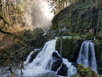 Scenic view of waterfall in forest