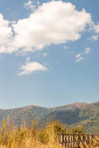 Scenic view of landscape against sky