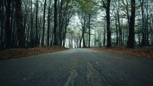 Mountain road in autumn after sunset in the mist ground level dolly in