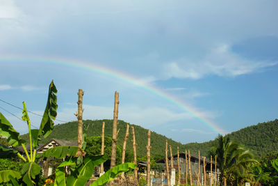 Scenic view of rainbow against sky