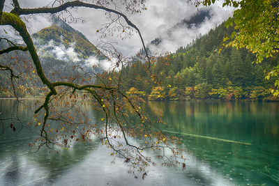 Scenic view of lake in forest against sky