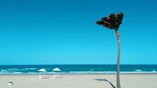 Scenic view of beach against clear blue sky