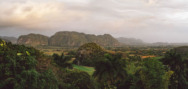 Scenic view of landscape against sky