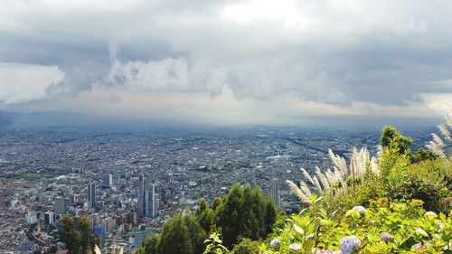 High angle view of trees and buildings against sky