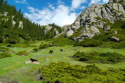 Scenic view of green landscape and mountains