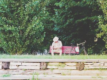 Rear view of woman sitting on bench in park