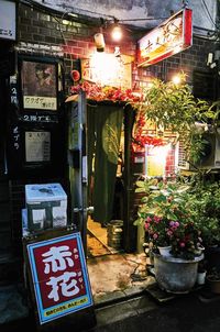 View of potted plants at night