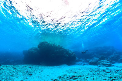 Person swimming in sea