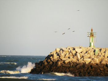 Birds flying over sea against sky