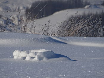 Frozen sea in winter