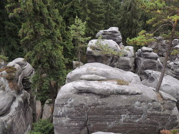 Statue on rock against trees