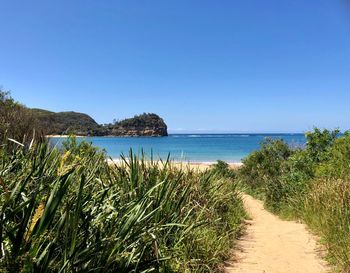 Scenic view of sea against clear blue sky