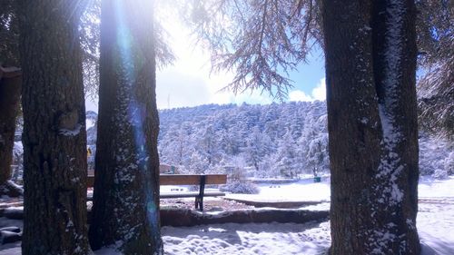 Scenic view of snow covered land against sky