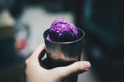 Close-up of hand holding purple flower