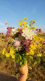 Close-up of hand holding flowering plant