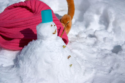 Low section of child on snow