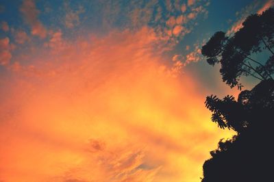 Low angle view of silhouette trees against orange sky