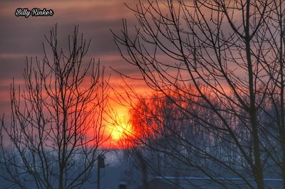 Silhouette bare trees against sky during sunset