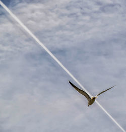 Low angle view of vapor trails against sky