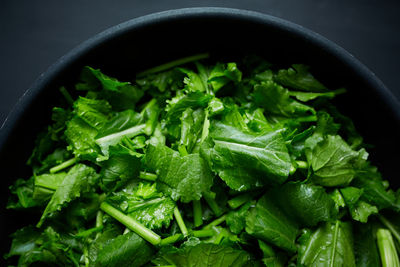 Close-up of chopped turnip leaves in bowl