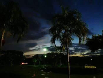 Silhouette trees against sky at night