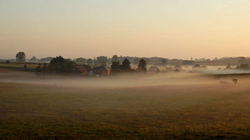 Scenic view of field against sky during sunset