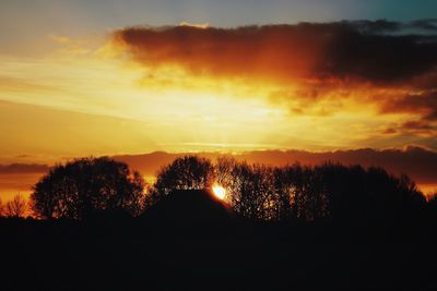 Silhouette trees against sky during sunset