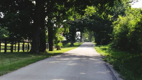 Empty road along trees