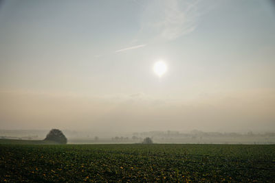 Scenic view of field against sky during sunset