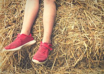 Low section of woman wearing red shoes while sitting on hay stack