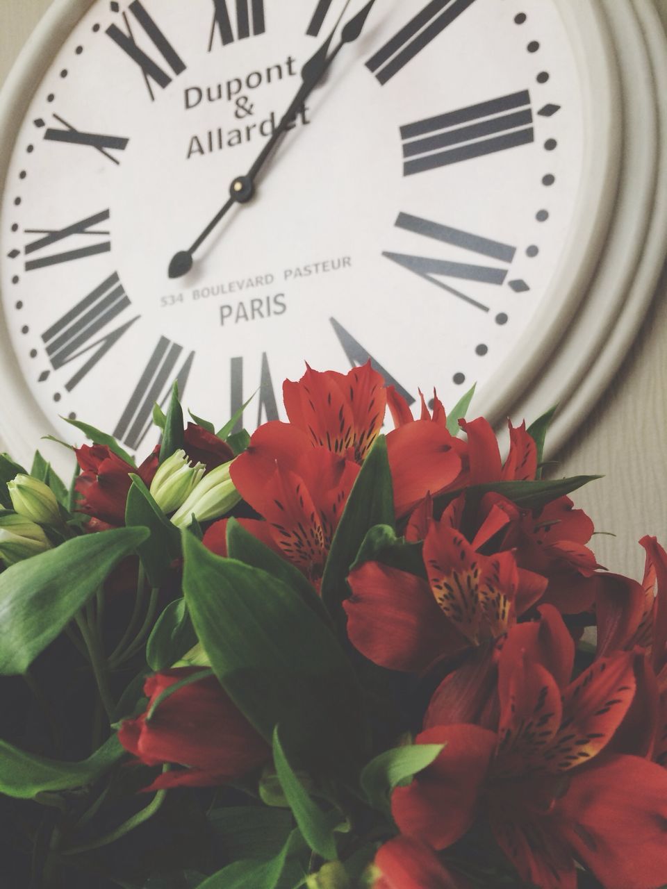 close-up, communication, text, red, western script, flower, transportation, no people, number, high angle view, indoors, plant, mode of transport, day, green color, white color, part of, focus on foreground, growth