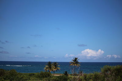 Scenic view of calm sea