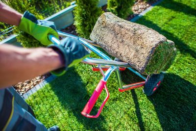 Cropped image of man gardening in yard