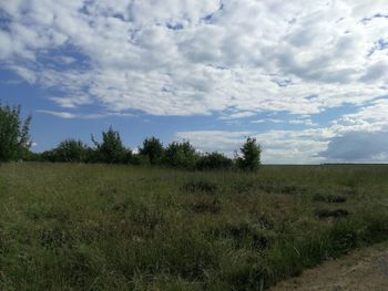Scenic view of field against sky