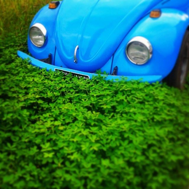 transportation, mode of transport, land vehicle, grass, green color, car, field, blue, day, selective focus, close-up, outdoors, travel, nautical vessel, nature, sunlight, part of, focus on foreground, stationary, no people