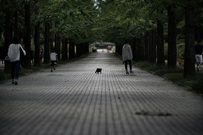 Rear view of man with dog walking in park