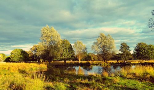 Scenic view of lake against cloudy sky