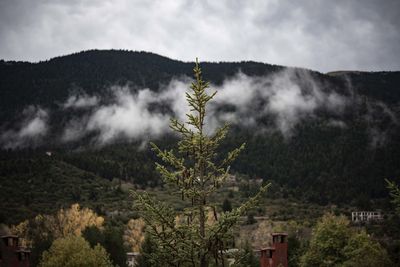 High angle view of trees and mountains against sky