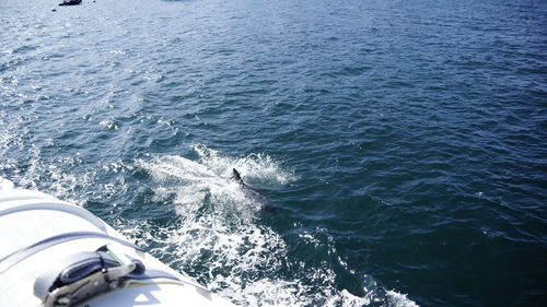 High angle view of boat in sea