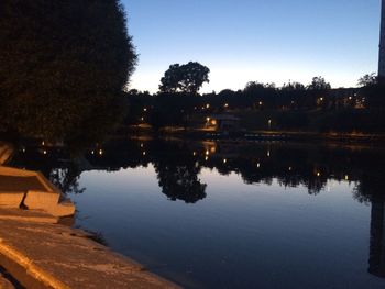 Reflection of trees in water