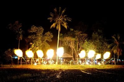 Illuminated trees on field at night