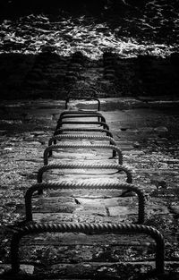 Narrow stairs along trees