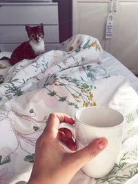 Close-up of hand holding cat relaxing on bed at home