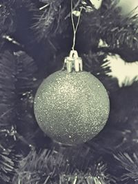 Close-up of christmas decorations hanging on tree