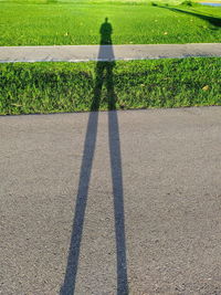 High angle view of shadow on road